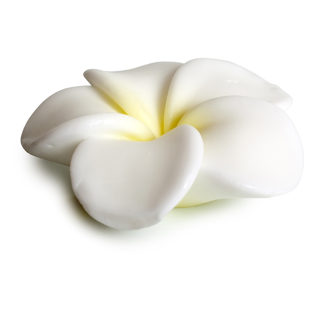 POKHARA BAR SOAP 105g "Γαρδένια"