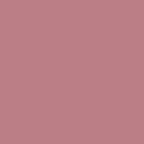 Lavish Care Matte Liquid Lipcolor No34