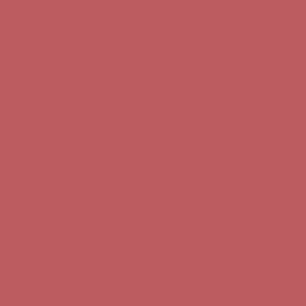 Lavish Care Matte Liquid Lipcolor No39