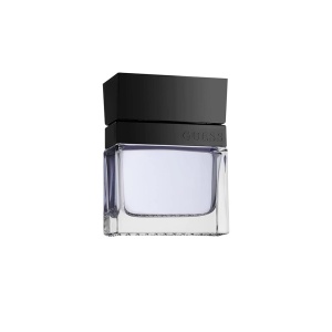 Guess, Seductive, Eau De Toilette, For Men, 100 ml