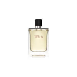 Hermes, Terre d'Hermes, Eau De Toilette, For Men, 100 ml
