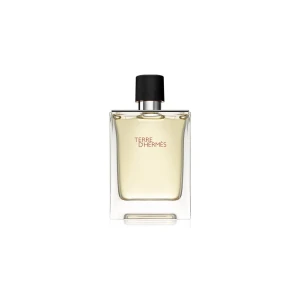 Hermes, Terre d'Hermes, Eau De Toilette, For Men, 100 ml