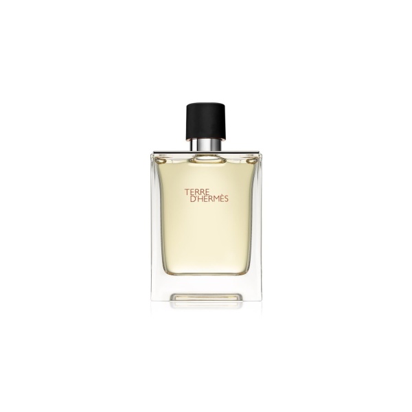 Hermes, Terre d'Hermes, Eau De Toilette, For Men, 100 ml
