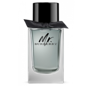 Burberry, Mr. Burberry, Eau De Toilette, For Men, 100 ml *Tester
