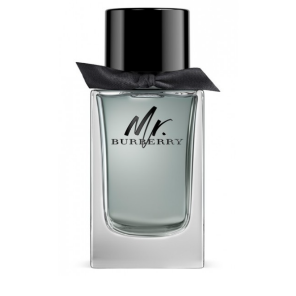 Burberry, Mr. Burberry, Eau De Toilette, For Men, 100 ml *Tester