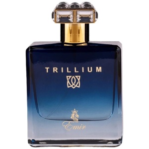Emir, Trillium, Eau De Parfum, For Men, 100 ml