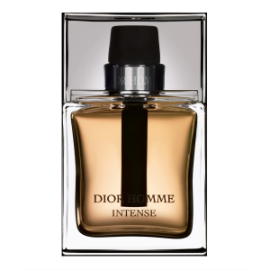 Christian Dior, Dior Homme Intense, Eau De Parfum, For Men, 100 ml